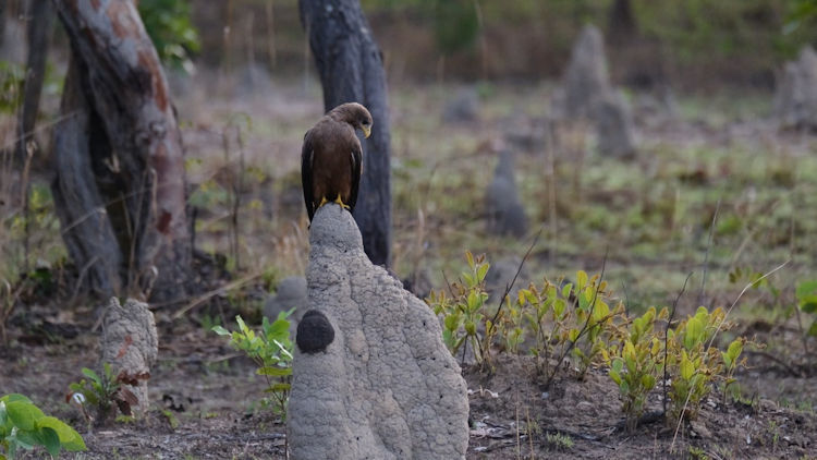 Lolelunga Private Reserve